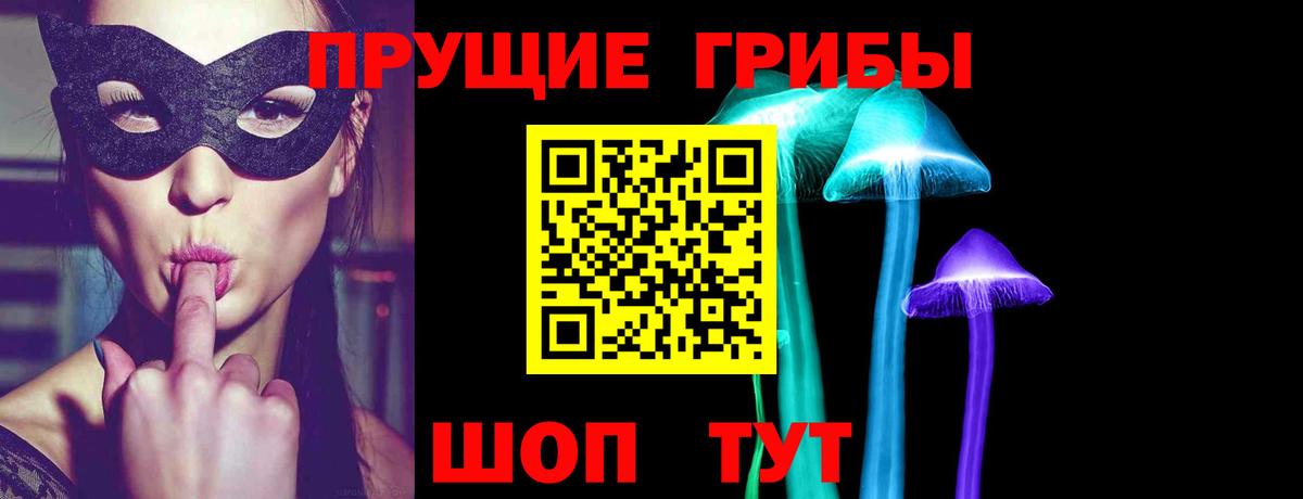 Галлюциногенные грибы GOLDEN TEACHER  Вход с VPN  Солнечногорск 